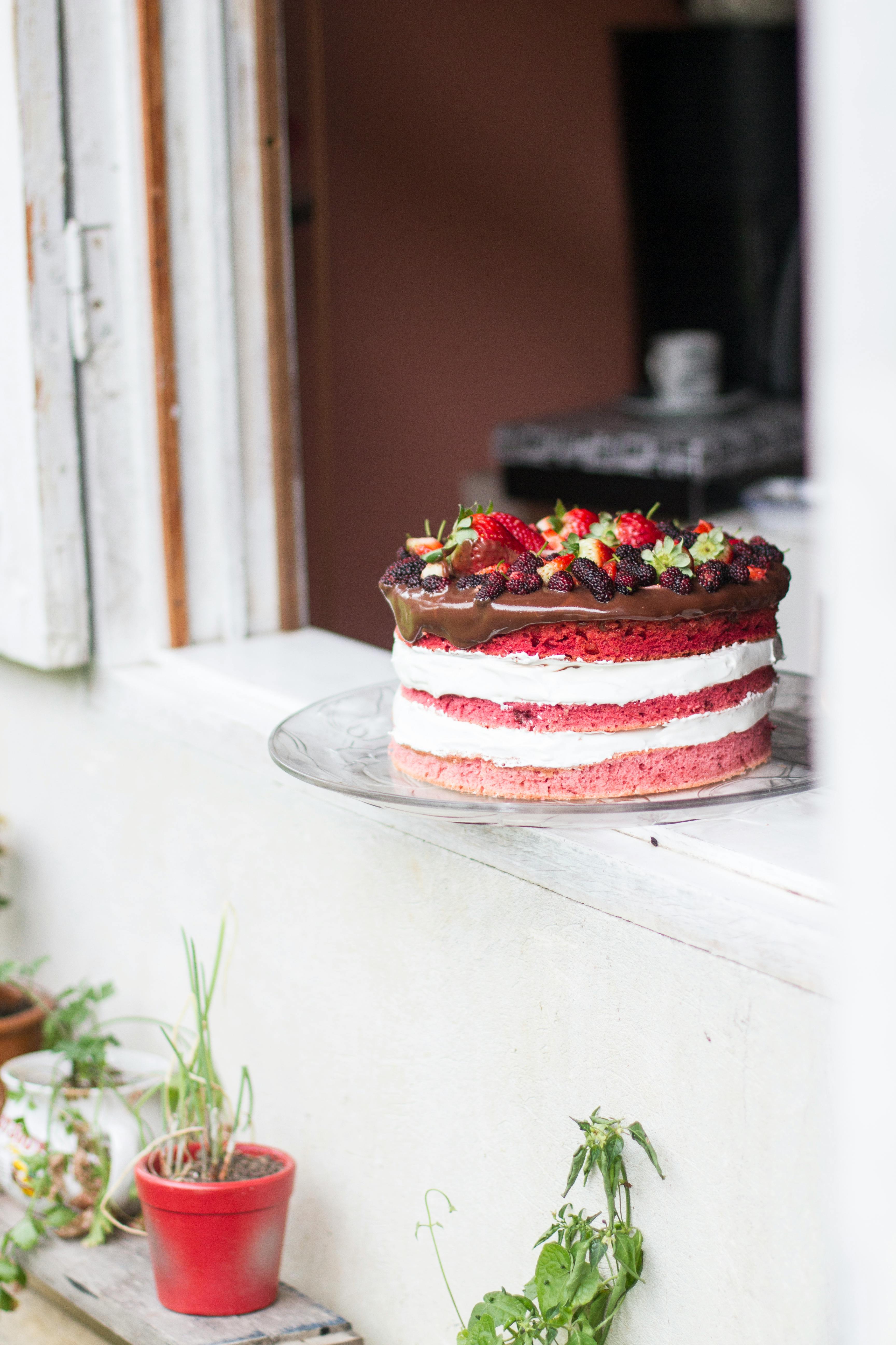 Specialty Cakes